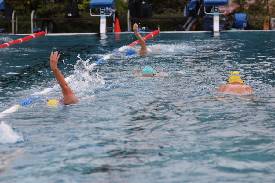Schwimmer mit Badekappen ziehen ihre Bahnen